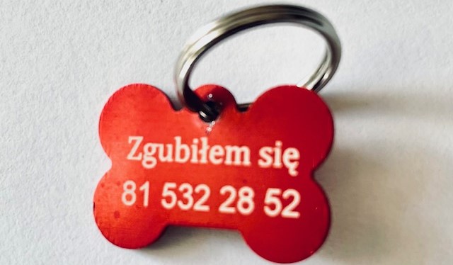 Lublin rozdaje bezpłatne adresatki dla psów